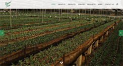 Desktop Screenshot of floranceflora.com